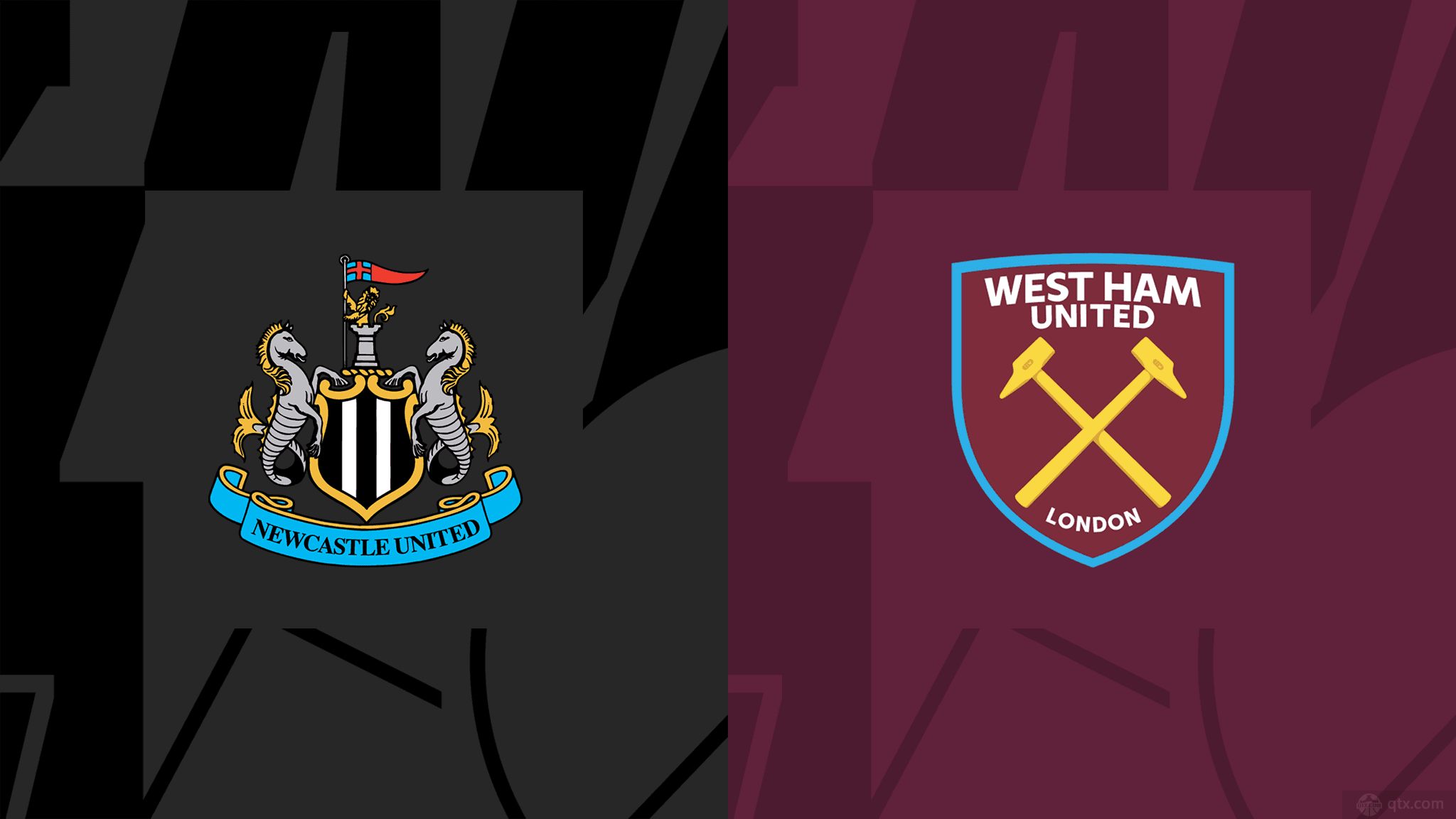 明星共享这 明星共享这